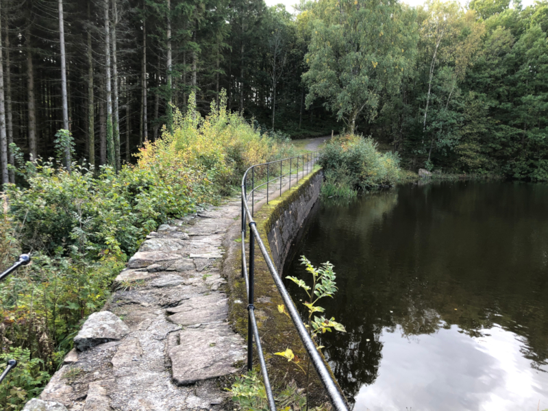 Bilde: Tjeneste dam